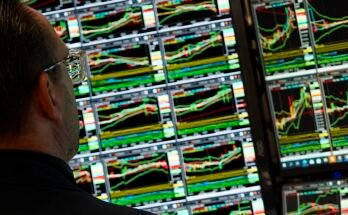 Éducation du marché dès la première moitié de 2025 - et les stocks qui semblent bien à l'avance