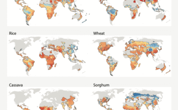 Une carte montre les chutes les plus fortes pour la production alimentaire dans certains des plus grands pays producteurs alimentaires, y compris les États-Unis.