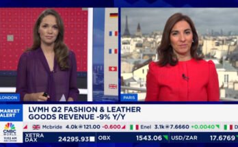 Sac mélangé pour le géant de luxe LVMH