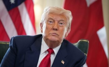 La guerre commerciale de Trump ne commence pas à avoir l'air si effrayante à Wall Street