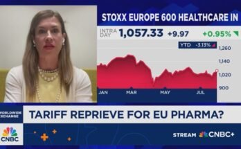 Champ: les investisseurs dessinent un soupir de niveau de douane de 15%
