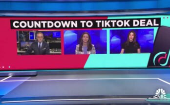Applovin est le dernier soumissionnaire de Tiktok; La décision pourrait être prise aujourd'hui, indiquent les rapports