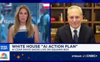 La Maison Blanche Ai tsar David Sacks: la race AI est encore plus importante que les espaces