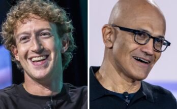 Meta et Microsoft achètent des niveaux pour les investisseurs qui souhaitent démarrer des postes