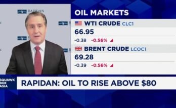 Attendez-vous à des vagues de Brent à 80 $ / bbl alors que Trump essaie de sevrer l'Inde de l'offre de pétrole russe: analyste