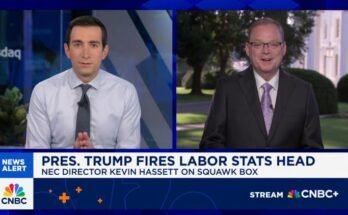 Le directeur du NEC, Kevin Hassett: les données de l'emploi sont devenues très peu fiables
