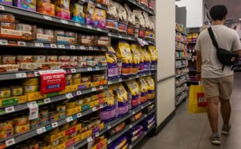 Comme Trump Berater Goldman, les économistes s'entendent sur une inflation des douanes plus élevée