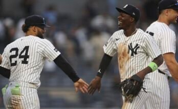 Le baseball de Ray's Yankee