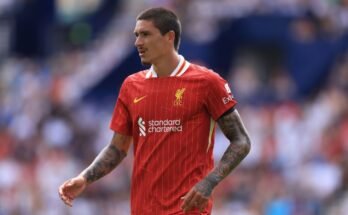 Transférer des rumeurs, nouvelles: AC Milan pour déménager à Liverpools Núñez