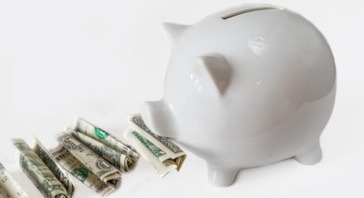 Banque de piggy blanche située à côté des dollars américains