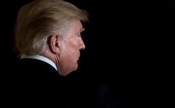 Topshot-us-politics-thrump-hispanique