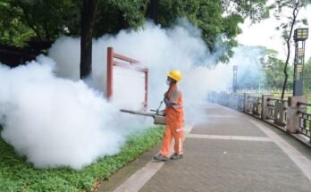 Quel est le virus Chikungunya? Que savoir sur les épidémies en Chine.