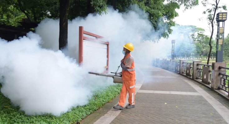 Quel est le virus Chikungunya? Que savoir sur les épidémies en Chine.