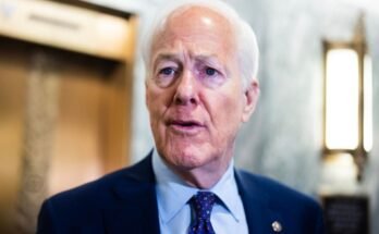 Le sénateur John Cornyn demande au FBI d'arrêter le Texas-Democrates qui ont fui l'État