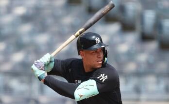 Le baseball de Ray's Yankee