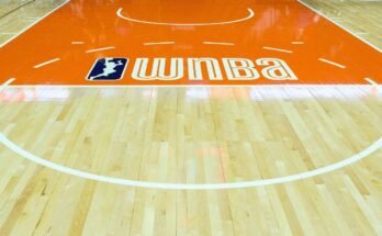 Crypto Group dit que le jeu de jouets sexuels orchestré dans le jeu WNBA