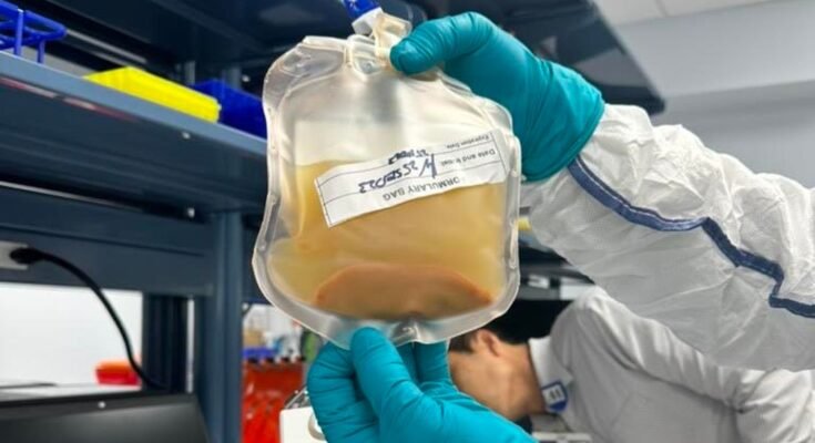 Cette start-up vise à cultiver de nouveaux mini-algans chez les patients
