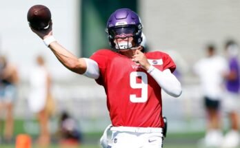 Camp d'entraînement des Vikings du Minnesota