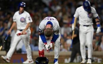 Baseball des Cubs Reds