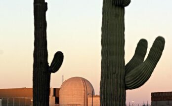 La plus grande centrale nucléaire du pays à rouvert
