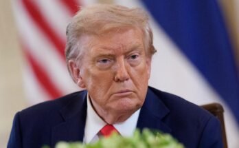 Trump ordonne le nettoyage du matériel `` réveillé '' de Washington-Museums