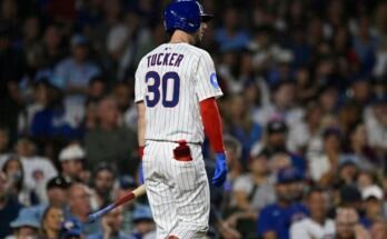 Baseball des Cubs Reds