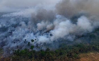 Le climat de la Terre approche des points de bascule irréversibles