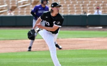 Mise à jour de la ligue mineure des White Sox: 13 août 2025
