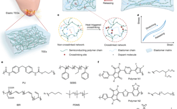 Élastomères thermoélectriques de N-Type | Nature
