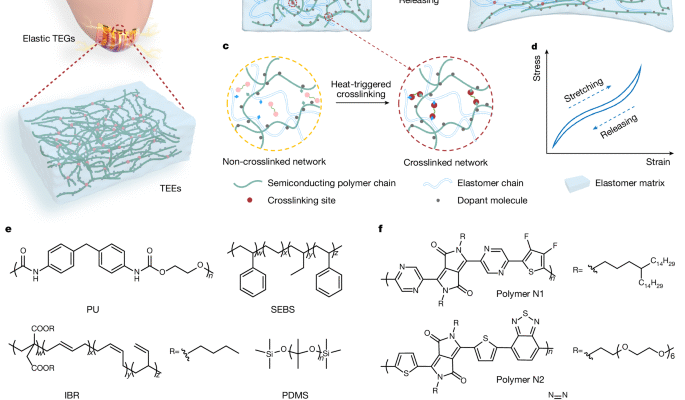 Élastomères thermoélectriques de N-Type | Nature