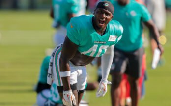 L'énergie de Willie Gay Jr. de Dolphins rayonnant à travers Miami et Energy-Energy