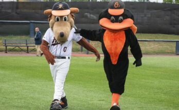 Mis à jour: Frederick Keys pour accéder à lui-même les Orioles dans la saison 2026
