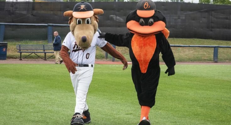 Mis à jour: Frederick Keys pour accéder à lui-même les Orioles dans la saison 2026