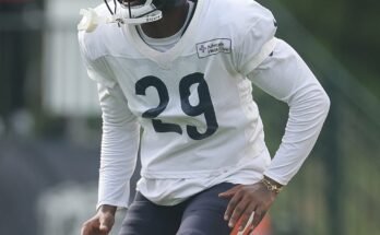 Camp d'entraînement des Chicago Bears: Jour de récapitulation 12