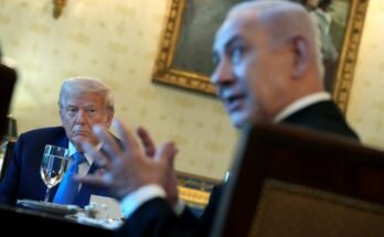 Seul Trump peut sauver Israël du plan catastrophique de Gaza de Netanyahu