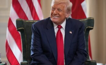 Les coutumes de Trump et la guerre commerciale: sa stratégie et comment cela pourrait mal tourner