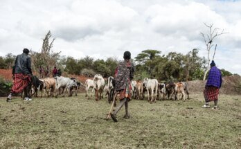 L'UNESCO peut-elle accueillir à la fois la conservation et les droits de l'homme?