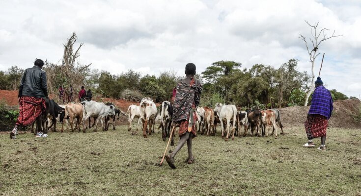 L'UNESCO peut-elle accueillir à la fois la conservation et les droits de l'homme?