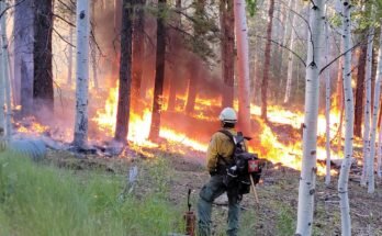 Une médecine en Foulélinique au bord du Dragon Bravo Wildfire.