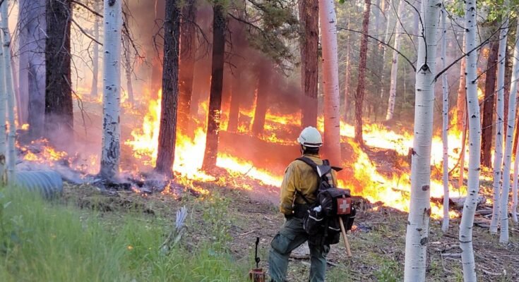 Une médecine en Foulélinique au bord du Dragon Bravo Wildfire.