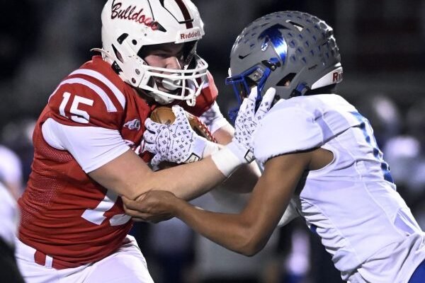 Michael Glover de Wilson prend un pass Madyx Gruber 19 mètres à Cedar Crest 21 dans un match de quart de finale 6A du district 3 au stade John Gurski vendredi 8 novembre 2024. (Bill Uhrich / Reading Eagle)