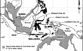 Carte des îles Wallacean