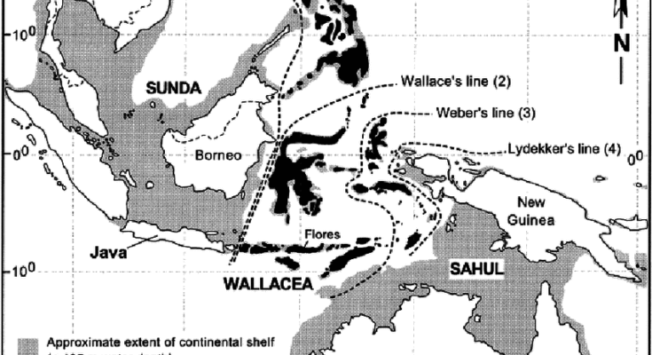 Carte des îles Wallacean