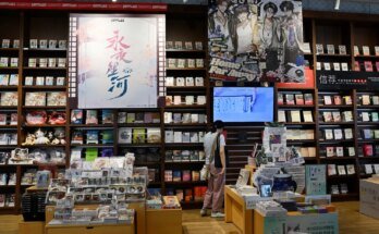 Comment fonctionne la censure en Chine?