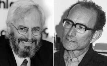 Diptyque par Goorsts Körior et Cesar Mildstein