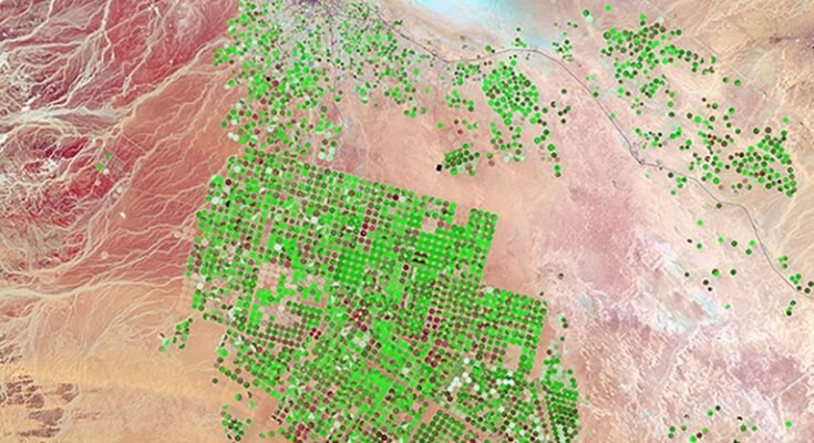 Image satellite des systèmes d'irrigation au milieu du pivot, représenté comme cercles verts dans le désert en Arabie saoudite.
