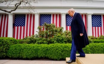 Donald Trump descend quelques pas de la Maison Blanche montrant un certain nombre de drapeaux américains derrière lui