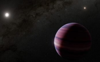 Le concept de l'artiste montre à quoi pourrait ressembler le géant du gaz qui a tourné Alpha Centauri.