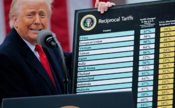 Les tarifs de Trump sont un gâchis. Mais les tarifs sont-ils toujours une mauvaise idée?