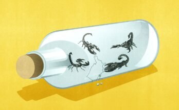 Aperçu des États-Unis à l'intérieur d'une bouteille de verre de chorale avec des scorpions